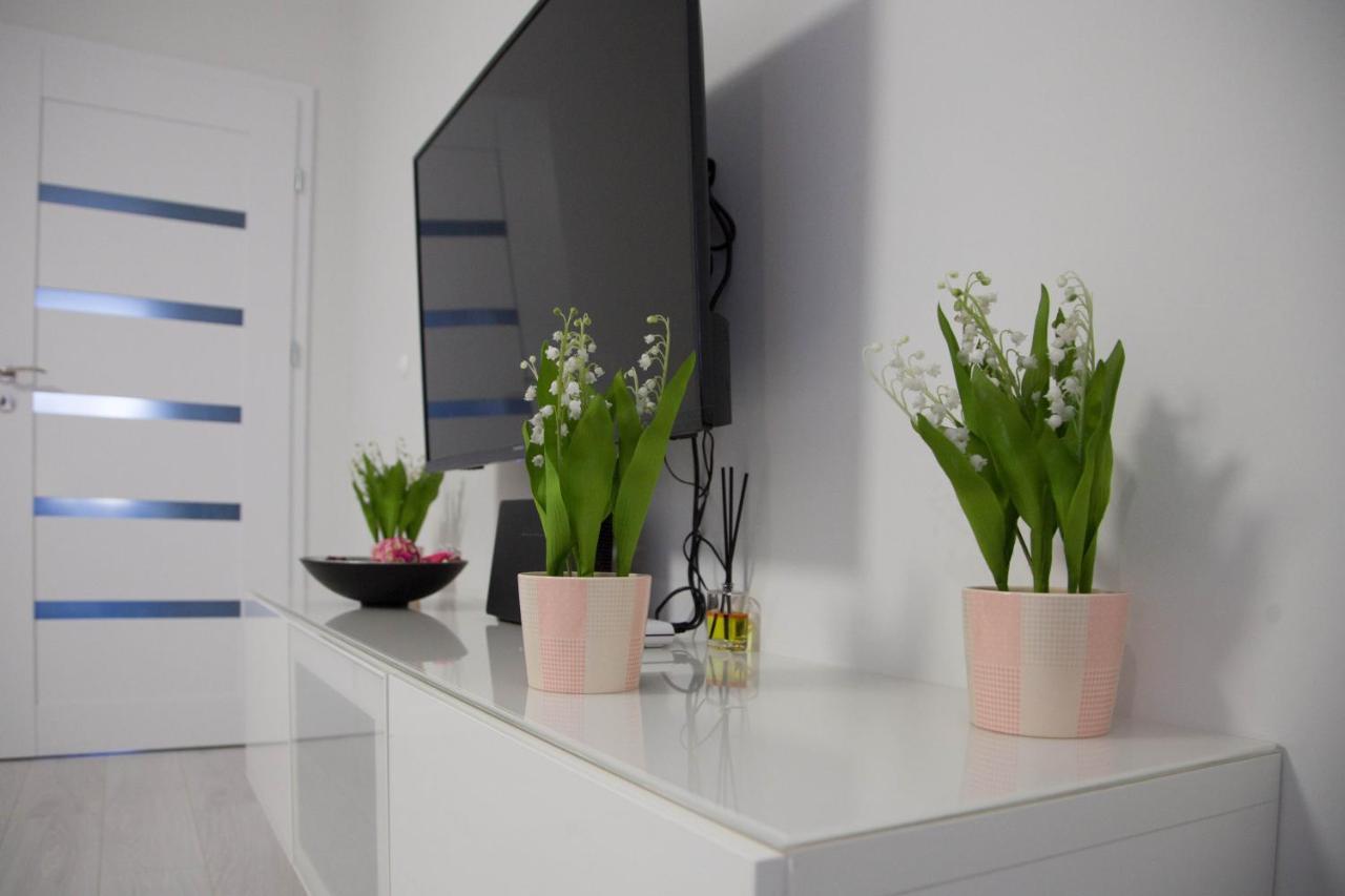 Apartament Wroclaw Borowska Exteriér fotografie